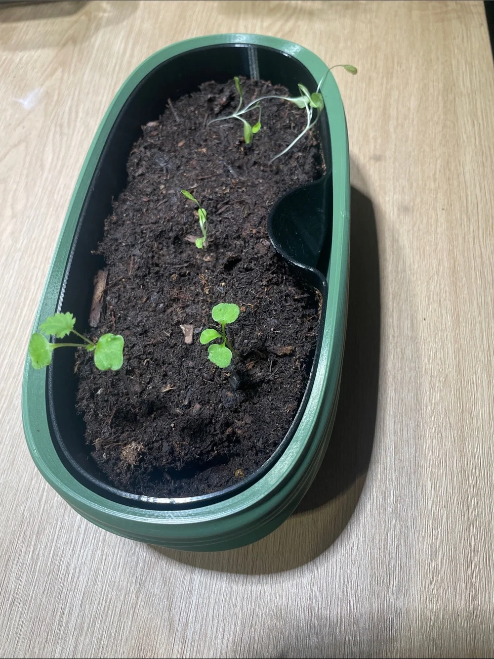 3D printed Green Self-Watering Indoor Planter - Modern Oval Herb Pot
